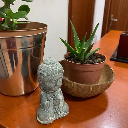 Guest house De Rada 3*