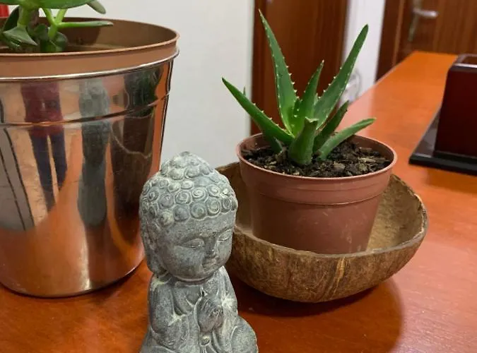 Vendégház De Rada 3*